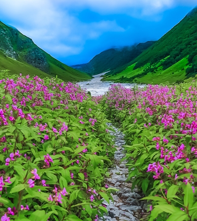 img valley of flowers trek bikat adventures